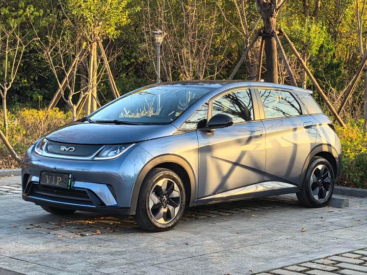 Фото 1 - BYD Dolphin