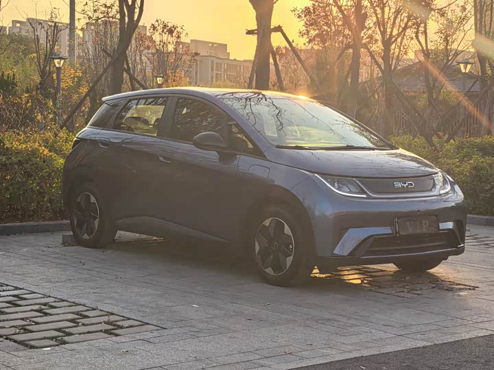 Фото 3 - BYD Dolphin