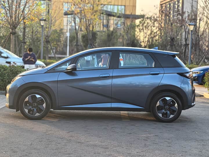 Фото 4 - BYD Dolphin