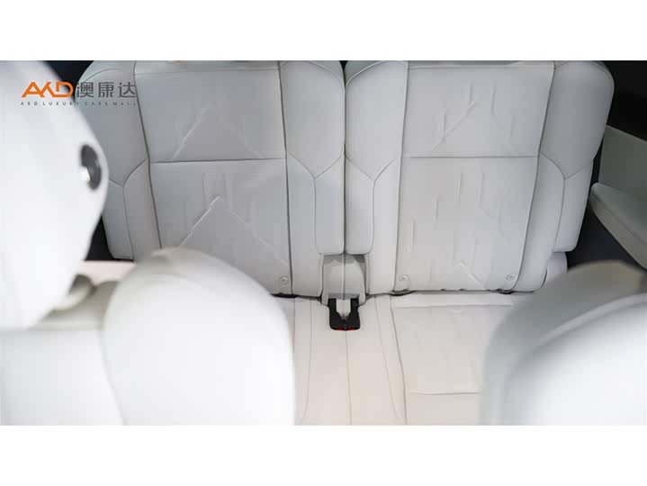 Фото 9 - Zeekr 009