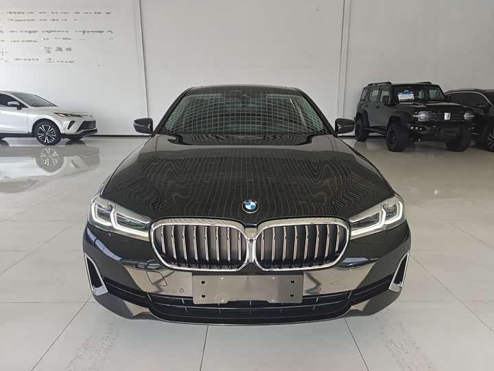 Фото 2 - BMW 5 Series Hybrid