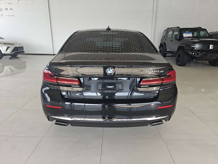 Фото 5 - BMW 5 Series Hybrid