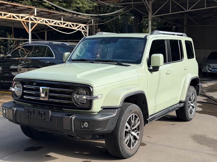 Фото 1 - Tank 300