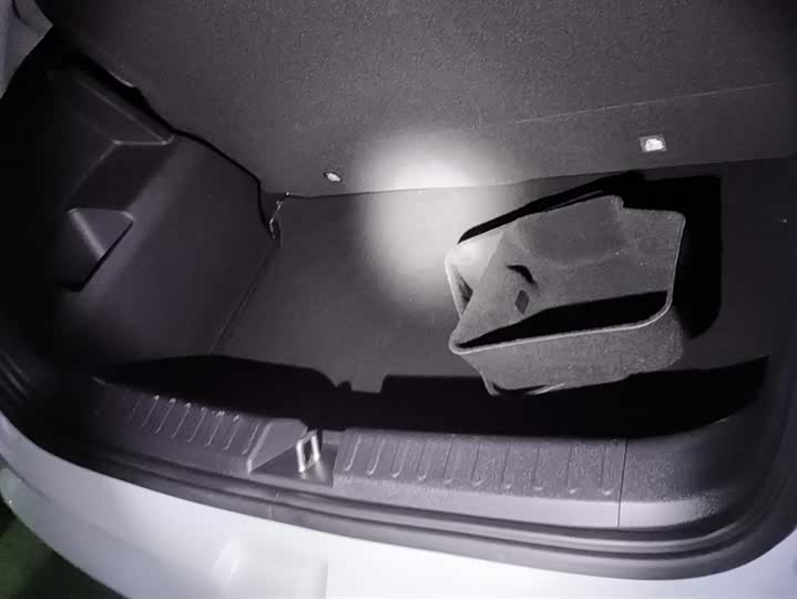 Фото 4 - Geely Geometry E Firefly