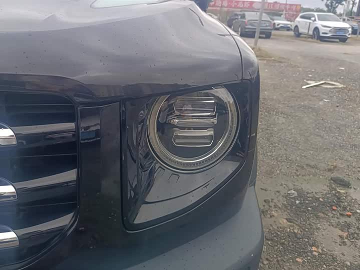 Фото 5 - Haval Dargo