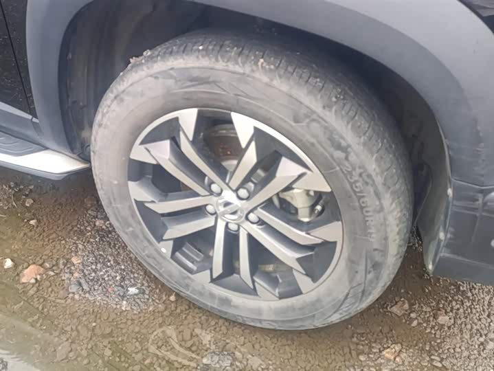 Фото 6 - Haval Dargo