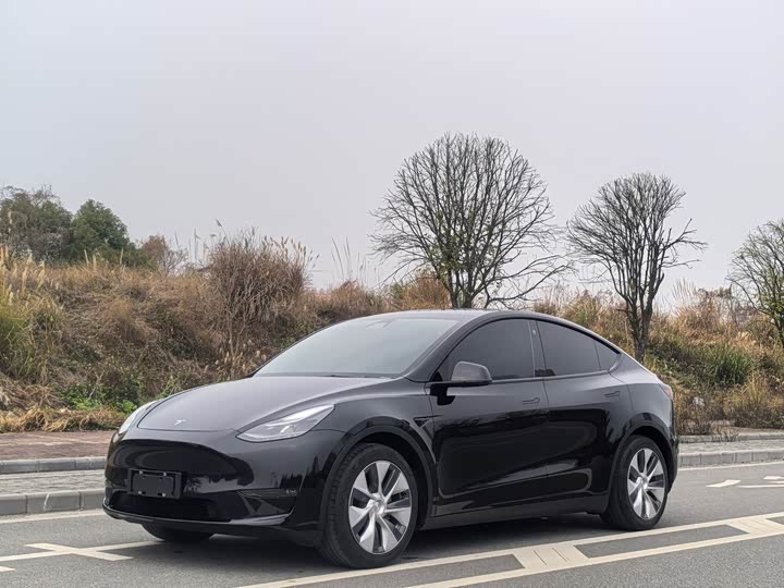 Фото 1 - Tesla Model Y