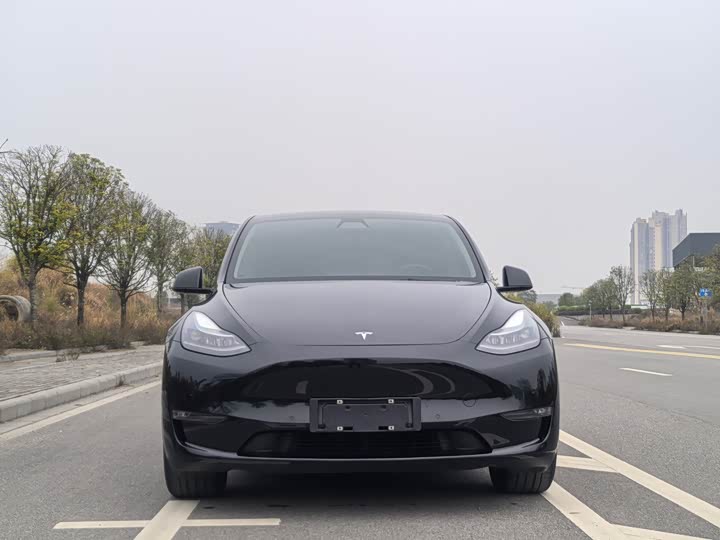 Фото 2 - Tesla Model Y