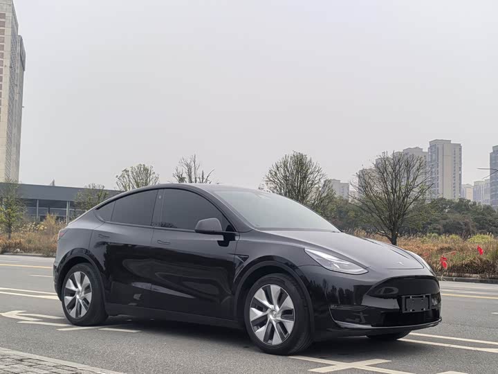 Фото 3 - Tesla Model Y