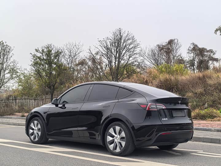 Фото 4 - Tesla Model Y