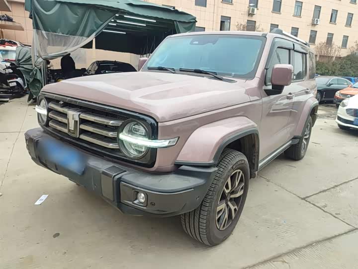 Фото 2 - Tank 300