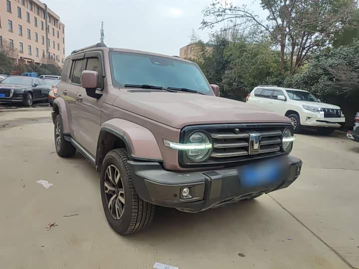 Фото 4 - Tank 300