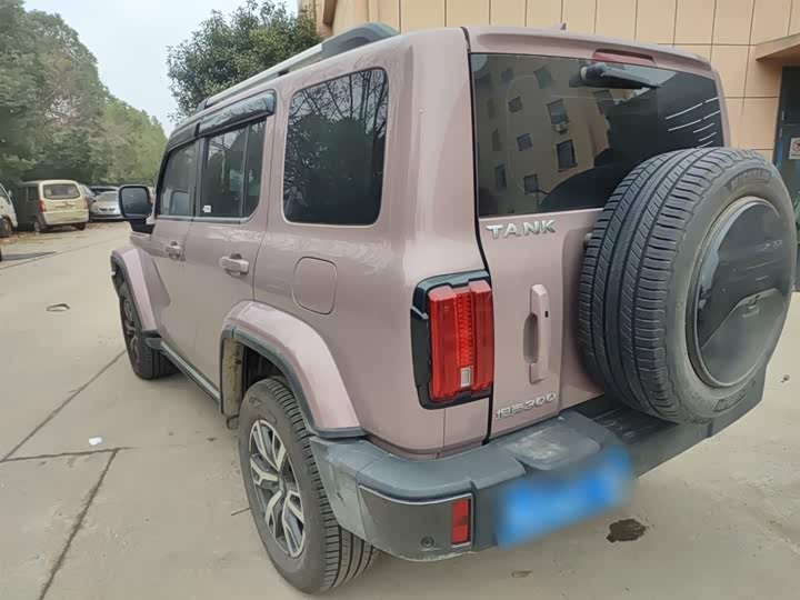 Фото 5 - Tank 300