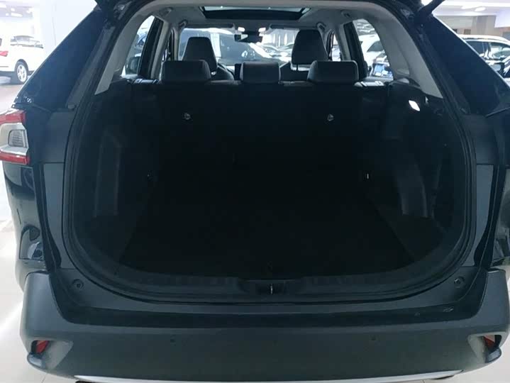 Фото 4 - Toyota Wildlander