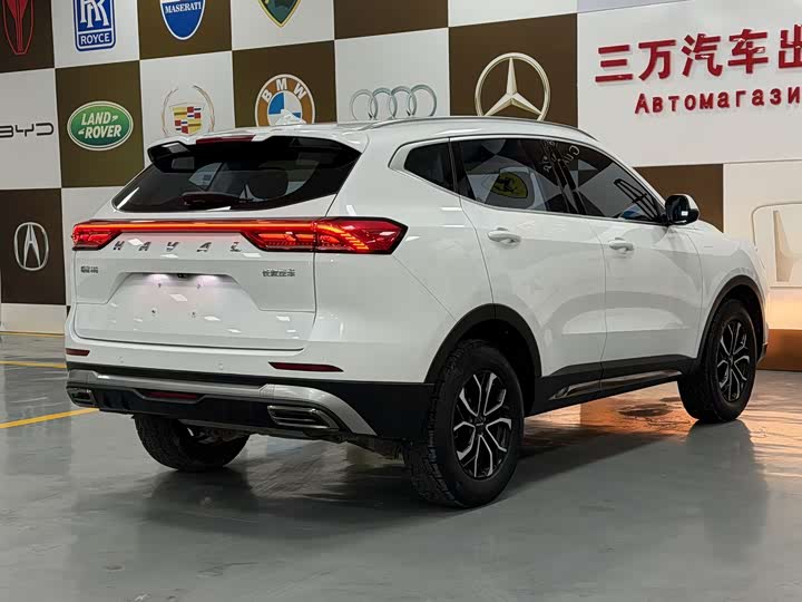 Фото 5 - Haval H6