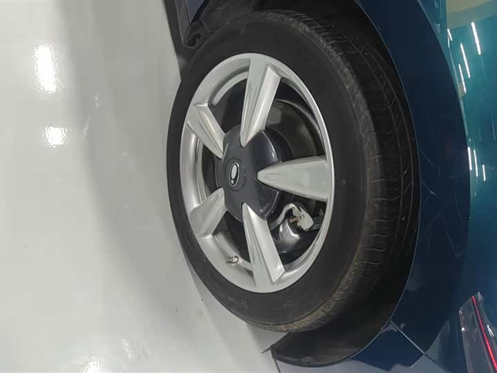 Фото 6 - Ora Good Cat (03)