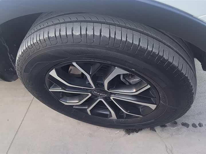 Фото 6 - Haval H6