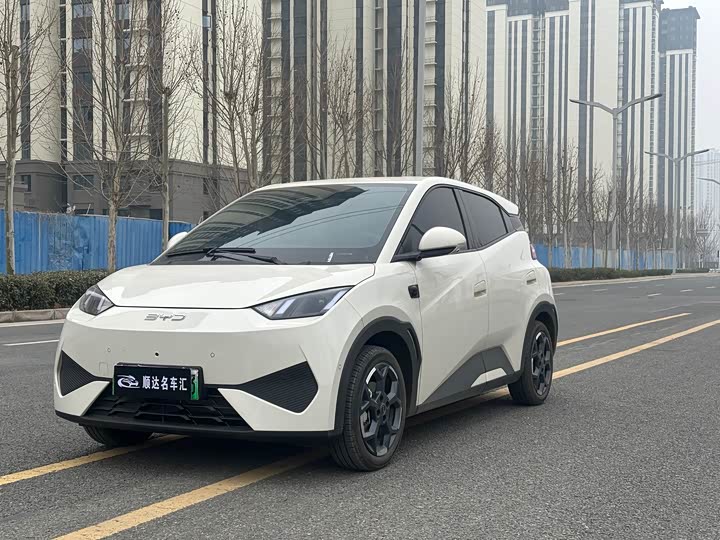 Фото 1 - BYD Seagull