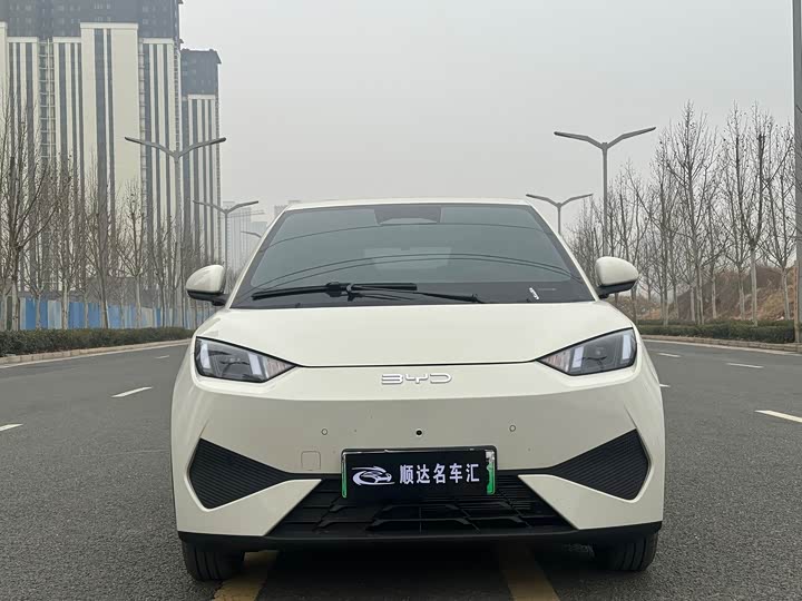 Фото 2 - BYD Seagull