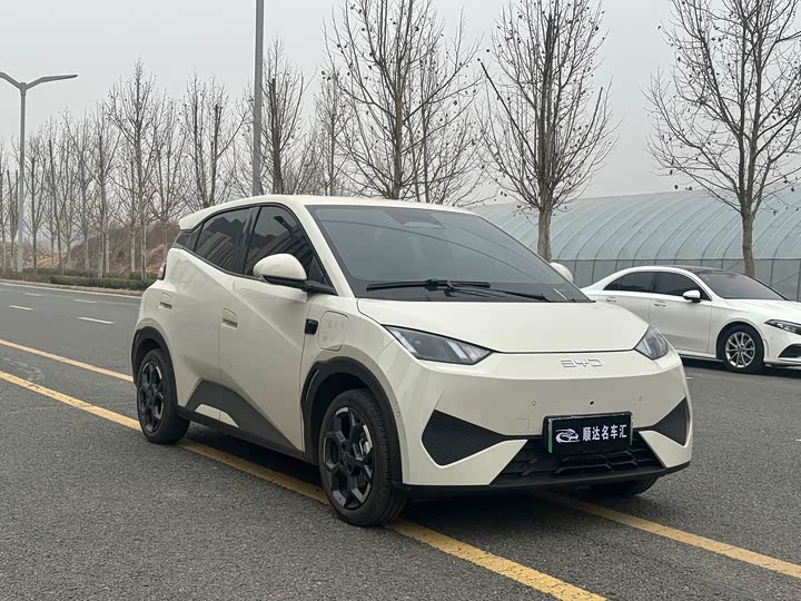 Фото 3 - BYD Seagull