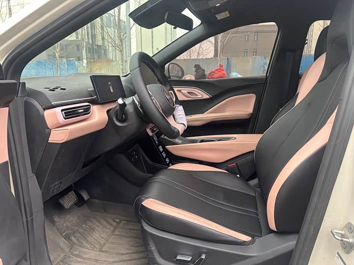 Фото 4 - BYD Seagull