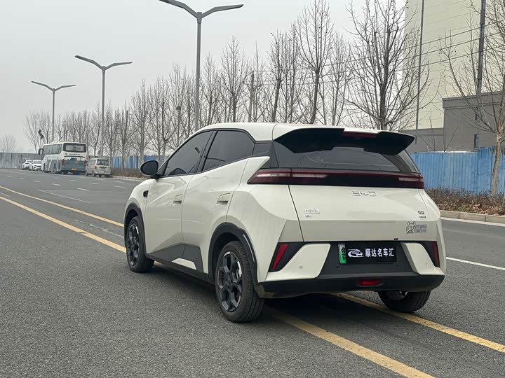 Фото 7 - BYD Seagull