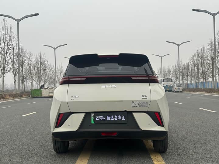 Фото 8 - BYD Seagull