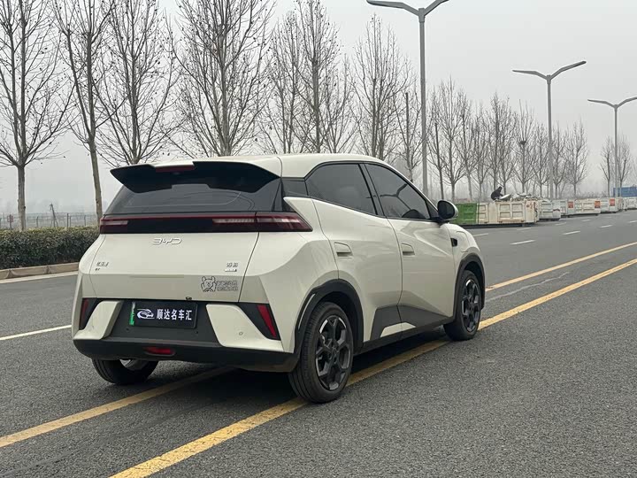 Фото 9 - BYD Seagull