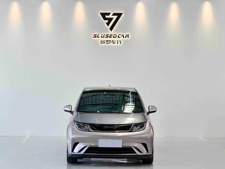 Фото 2 - BYD Dolphin