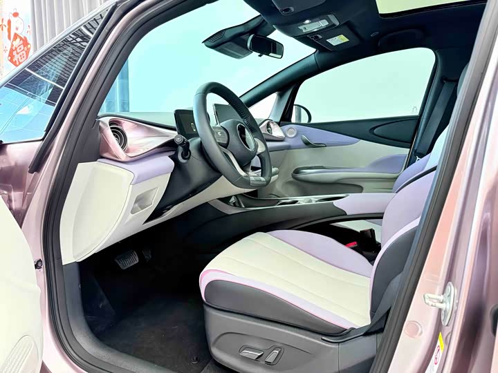 Фото 4 - BYD Dolphin