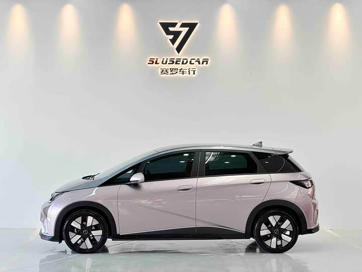 Фото 7 - BYD Dolphin