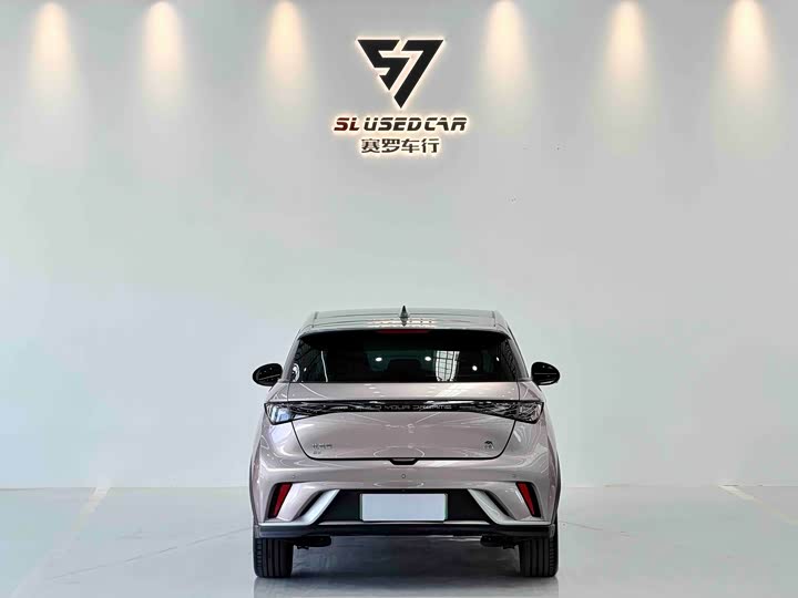 Фото 8 - BYD Dolphin