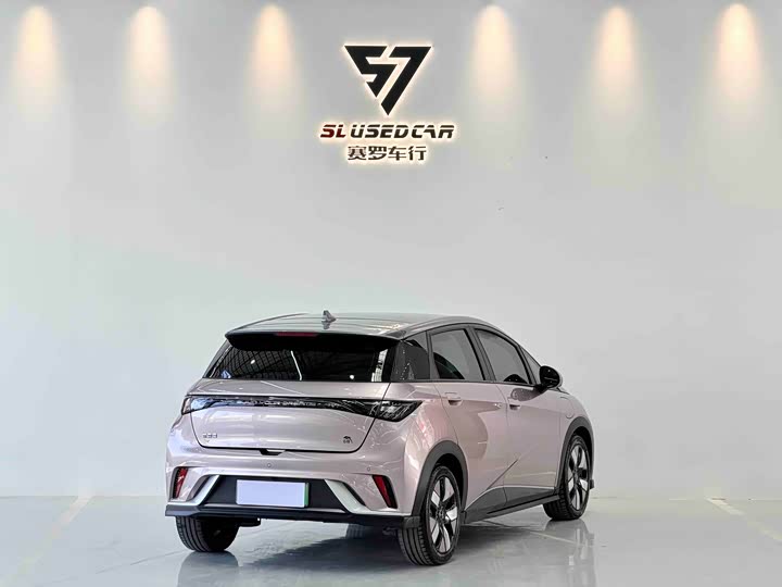 Фото 9 - BYD Dolphin