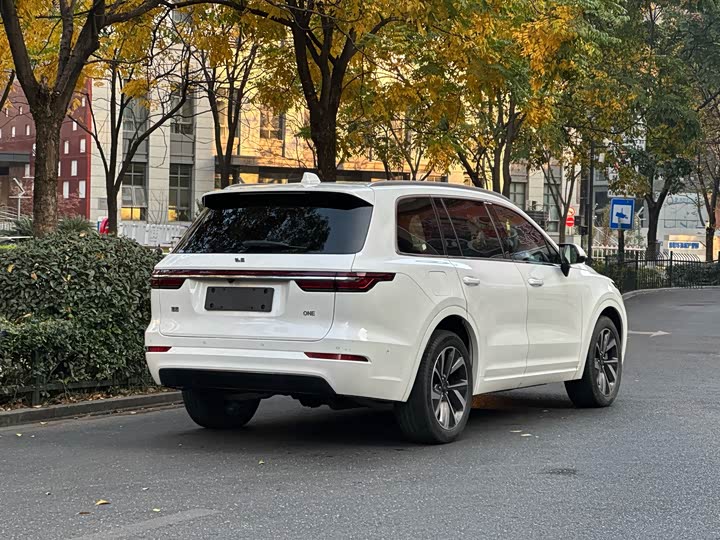 Фото 4 - LiXiang One