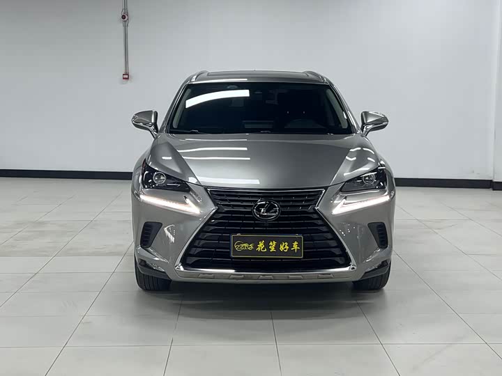 Фото 8 - Lexus NX