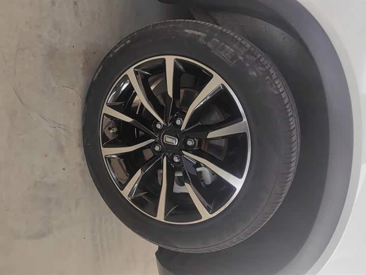 Фото 6 - Bestune T33