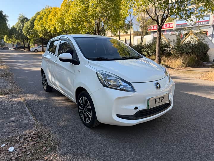 Фото 3 - Changan BenBen E-Star