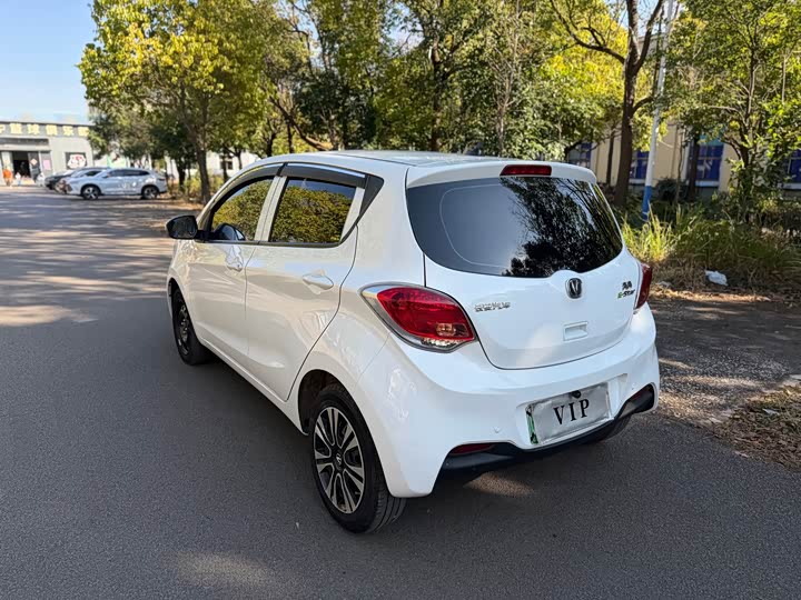 Фото 7 - Changan BenBen E-Star