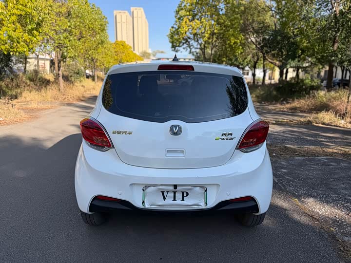 Фото 8 - Changan BenBen E-Star