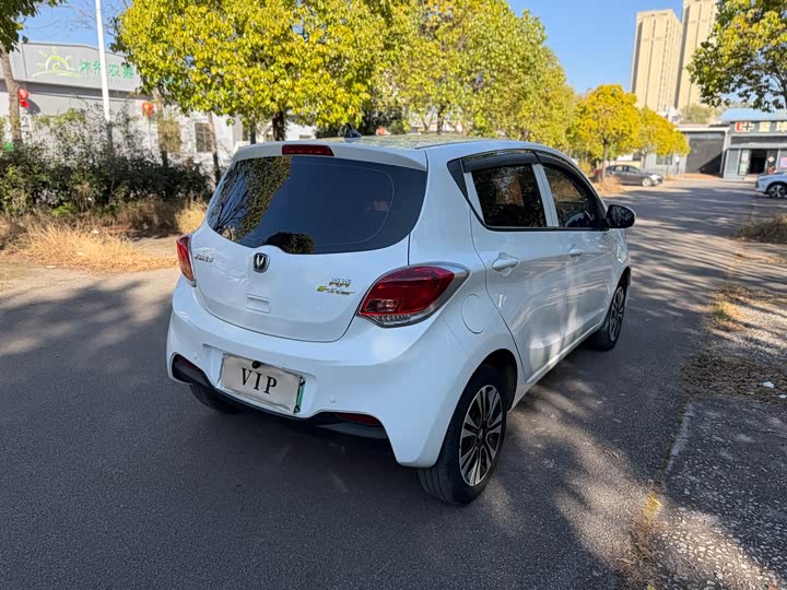 Фото 9 - Changan BenBen E-Star