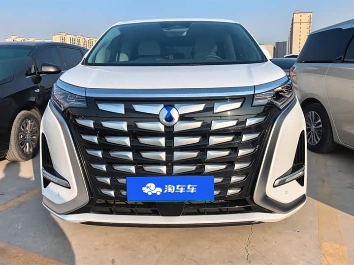 Фото 2 - Denza D9