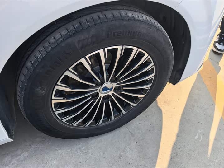 Фото 6 - Denza D9