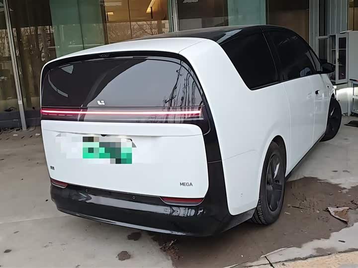 Фото 6 - LiXiang Mega