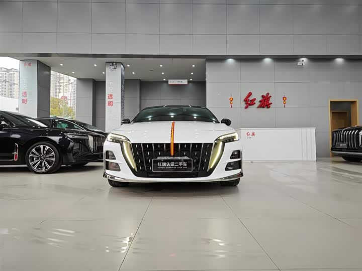 Фото 2 - Hongqi H6