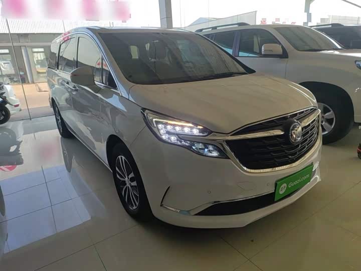 Фото 4 - Buick GL8 ES