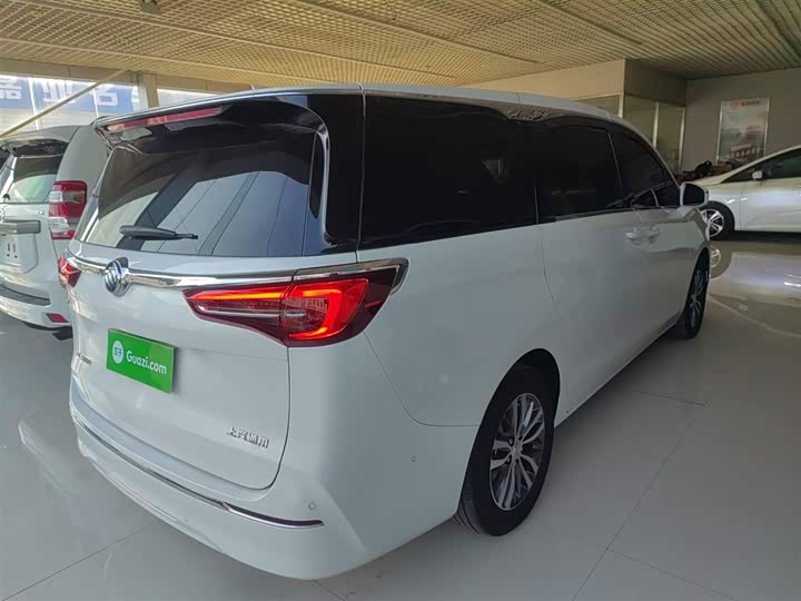 Фото 7 - Buick GL8 ES