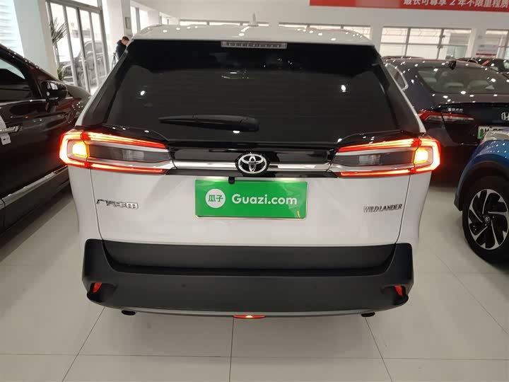 Фото 6 - Toyota Wildlander