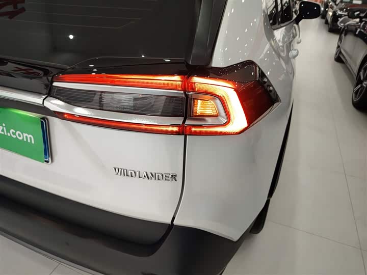 Фото 8 - Toyota Wildlander