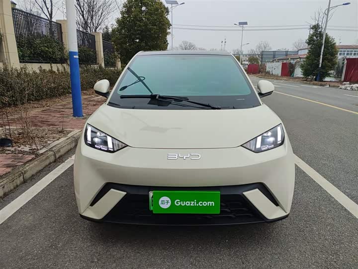 Фото 3 - BYD Seagull