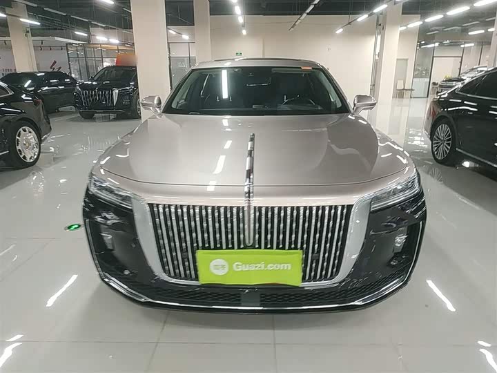 Фото 3 - Hongqi H9
